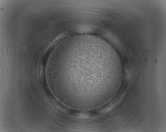 X0000086280308200704051342