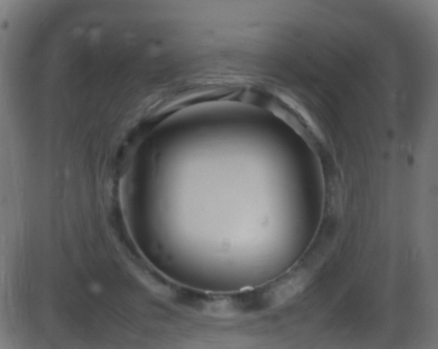 X0000086280309200704051342