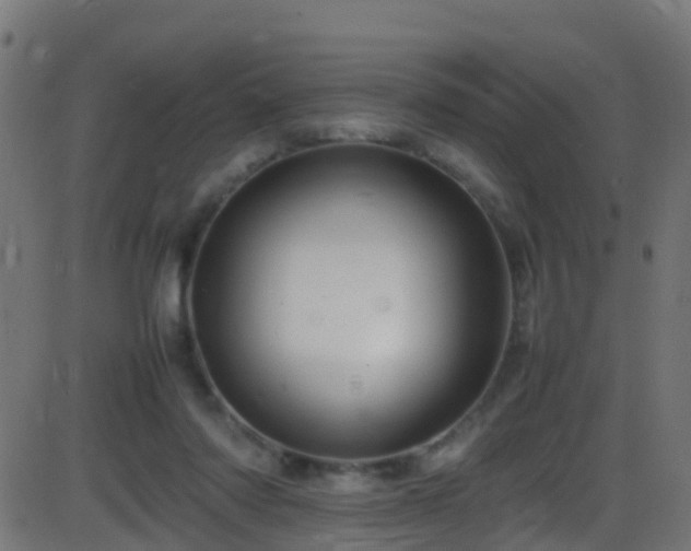 X0000086280310200704051342