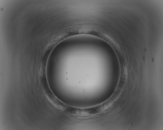 X0000086280311200704051342