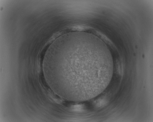 X0000086280312200704051342