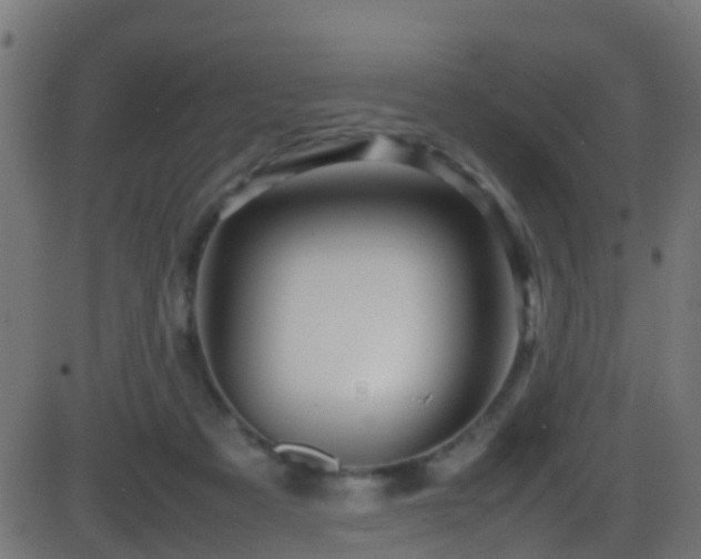 X0000086280313200704051342