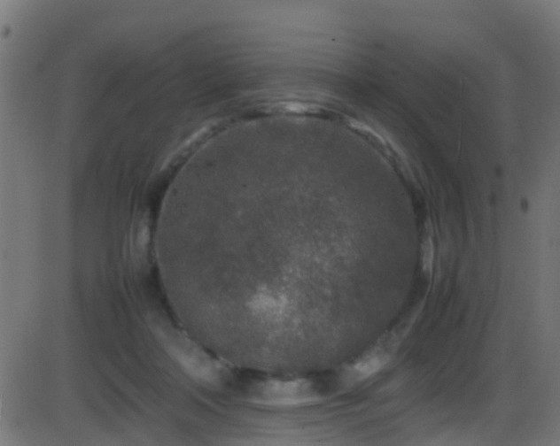 X0000086280314200704051342