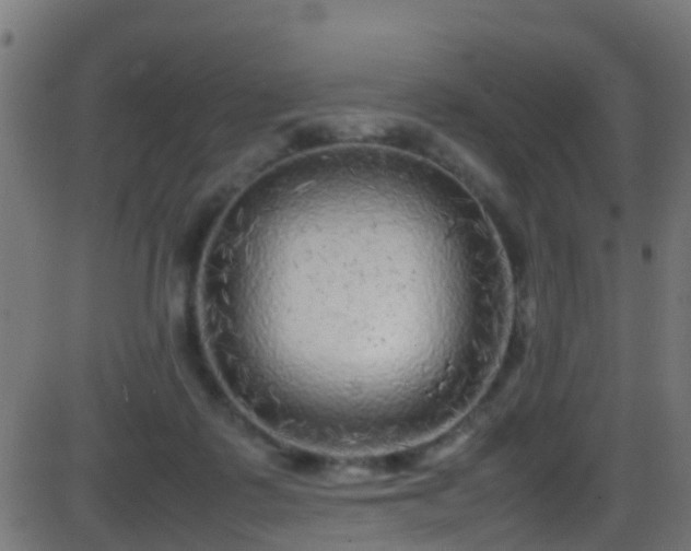 X0000086280315200704051342