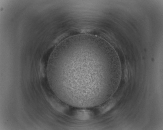 X0000086280316200704051342