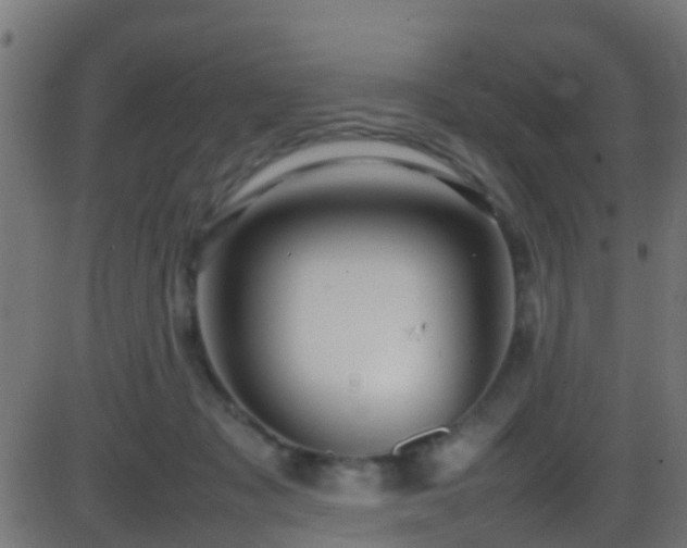 X0000086280317200704051342