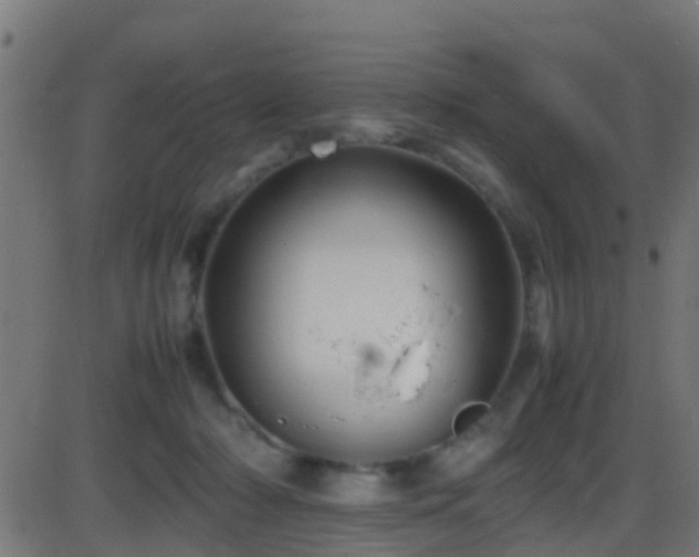 X0000086280318200704051341