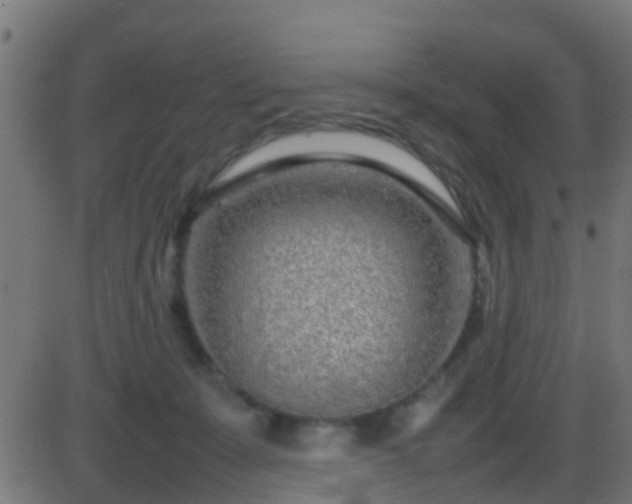 X0000086280319200704051341