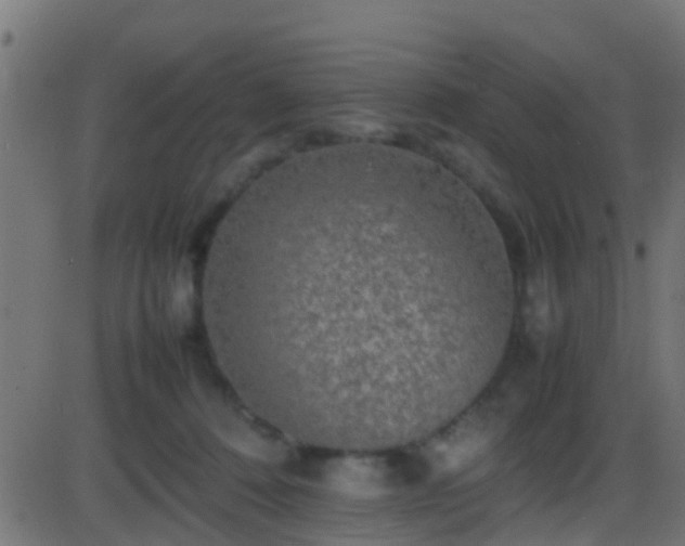 X0000086280320200704051341