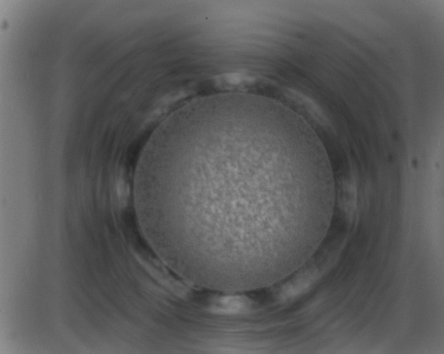 X0000086280324200704051341