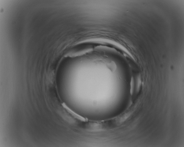 X0000086280325200704051341