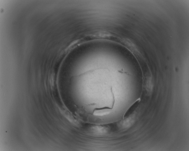 X0000086280326200704051341