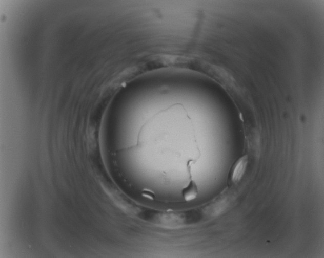 X0000086280327200704051341