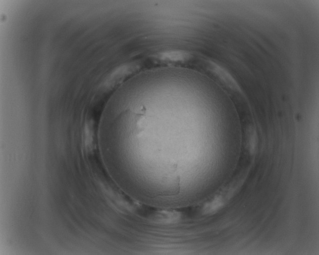 X0000086280328200704051341