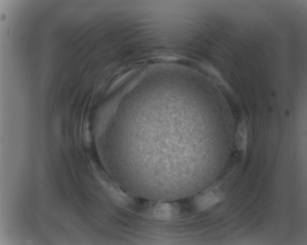 X0000086280330200704051341