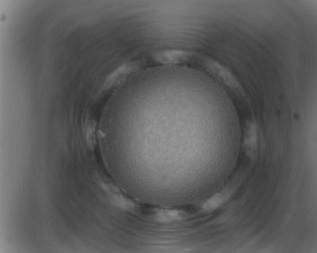 X0000086280332200704051341