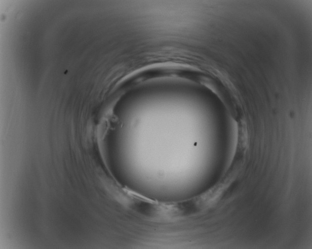 X0000086280333200704051341