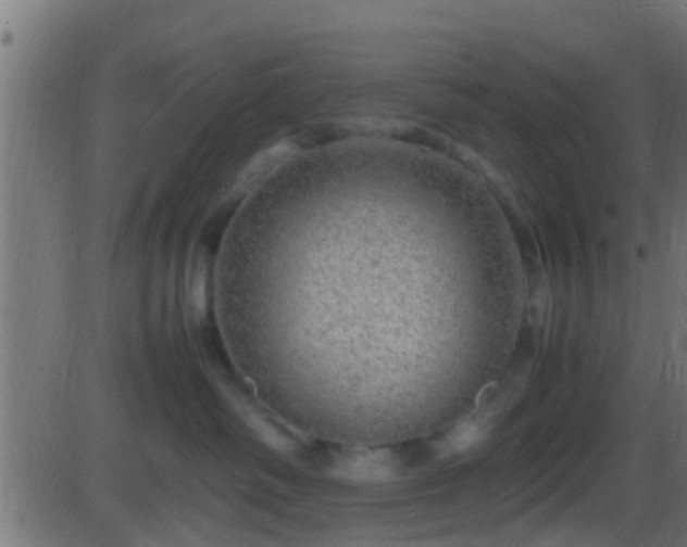 X0000086280334200704051341