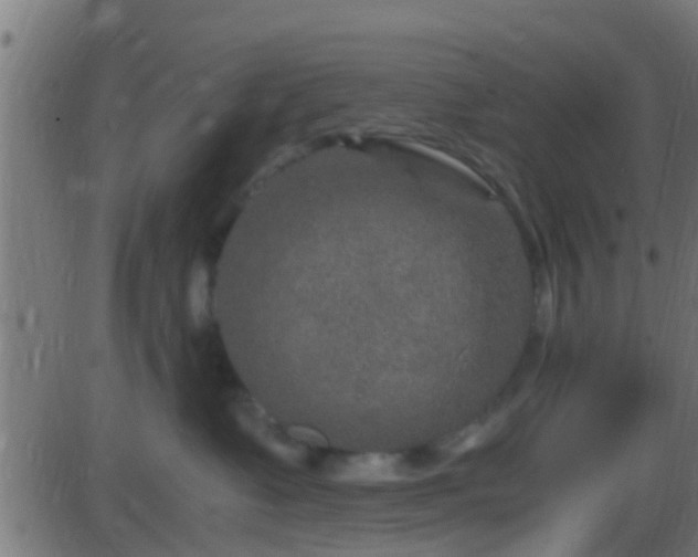 X0000086280335200704051341