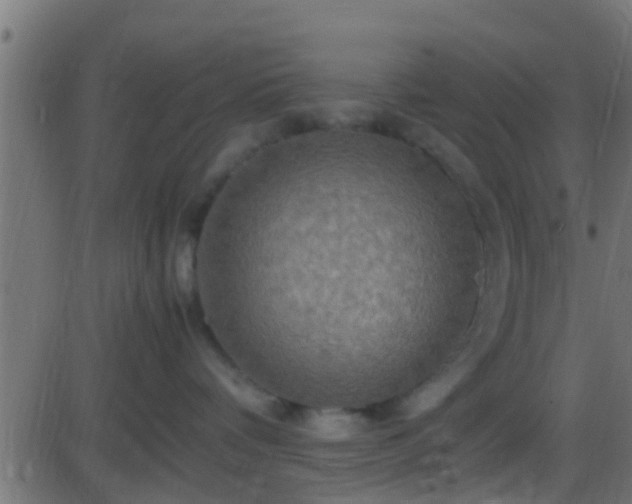 X0000086280336200704051341