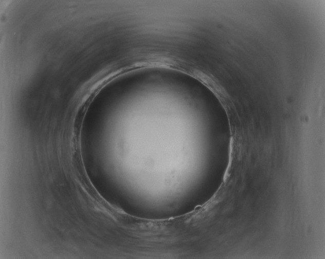 X0000086280338200704051340