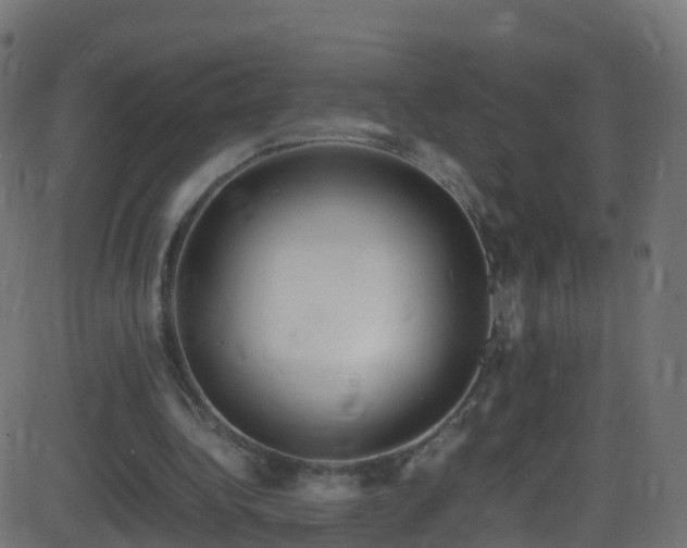 X0000086280340200704051340