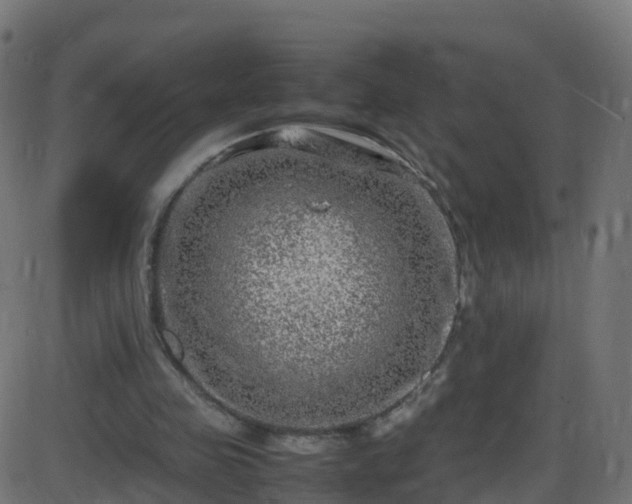 X0000086280341200704051340