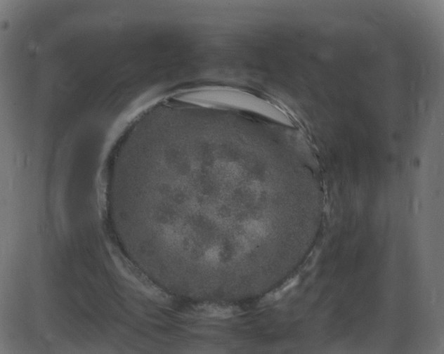 X0000086280343200704051340