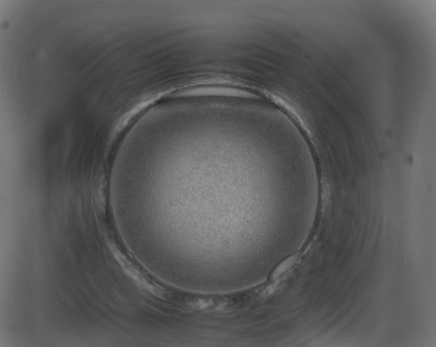 X0000086280345200704051340