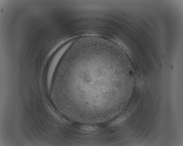 X0000086280347200704051341