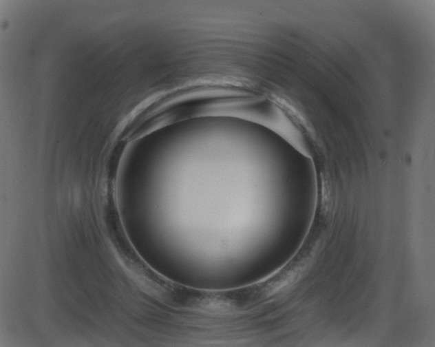 X0000086280348200704051341