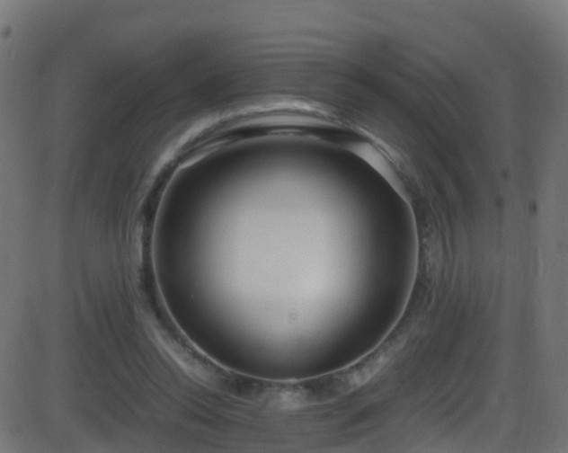 X0000086280350200704051341