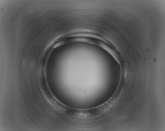 X0000086280352200704051341