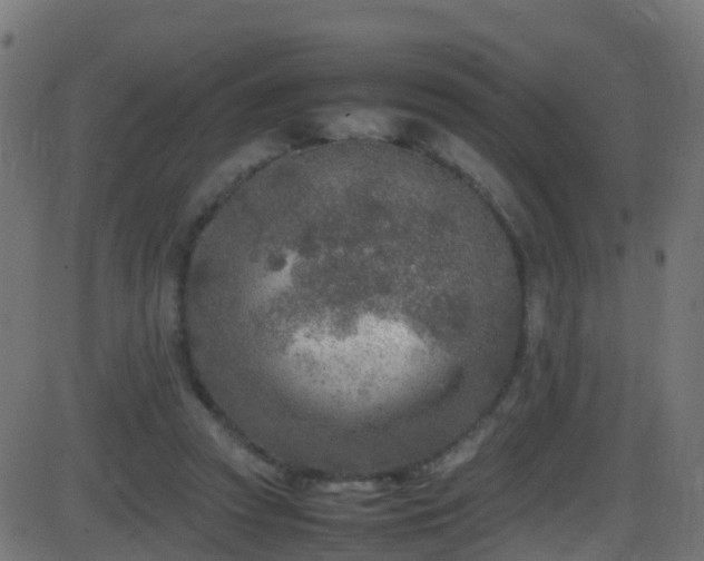 X0000086280353200704051341