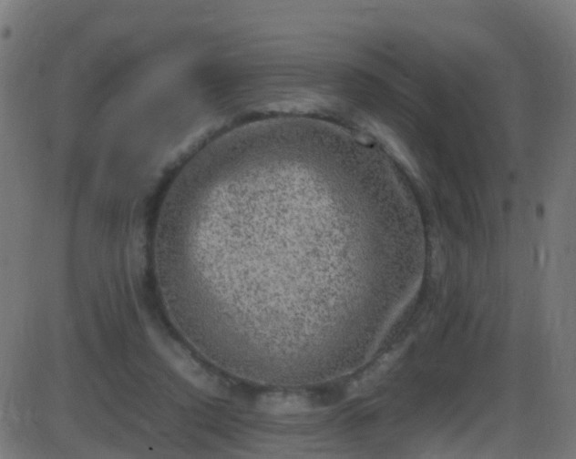 X0000086280354200704051341