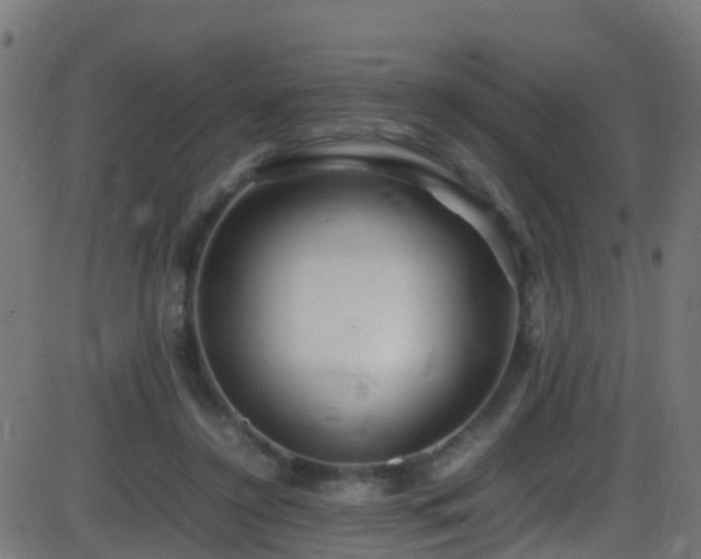 X0000086280356200704051341