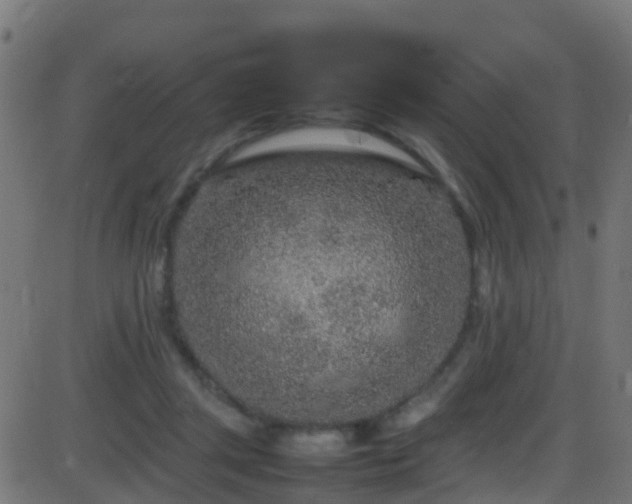 X0000086280357200704051341