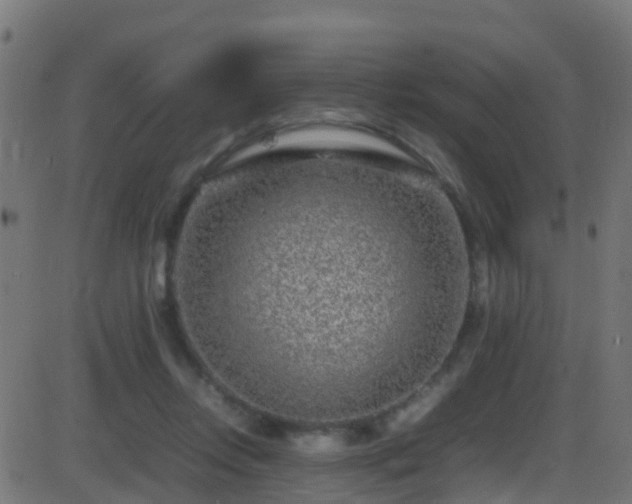 X0000086280358200704051341