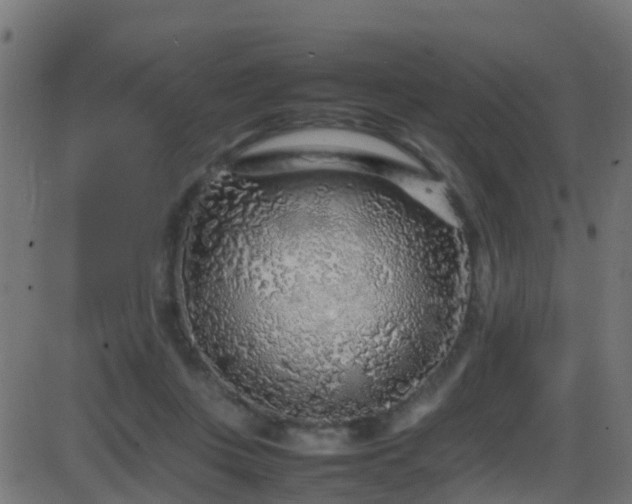 X0000086280359200704051341