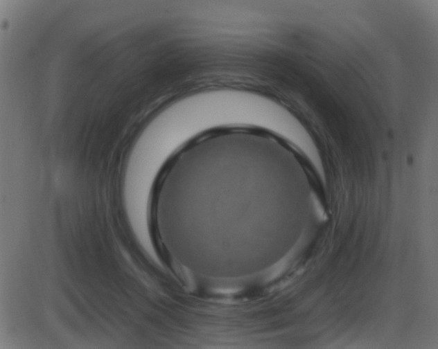 X0000086280360200704051341