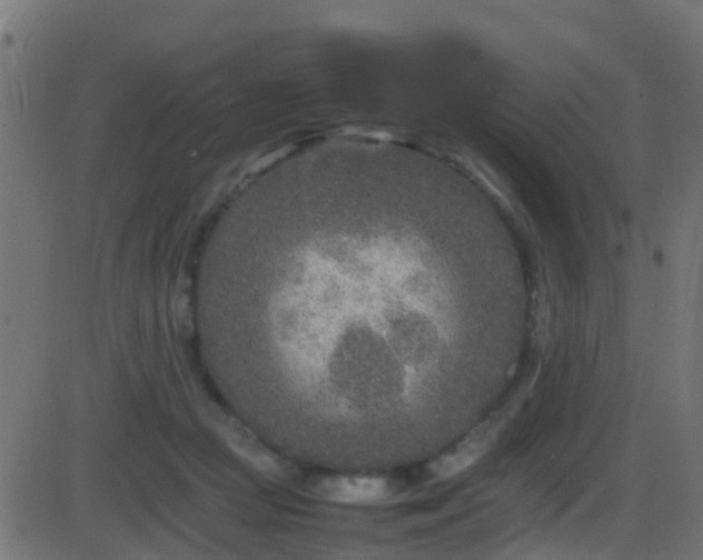 X0000086280361200704051341