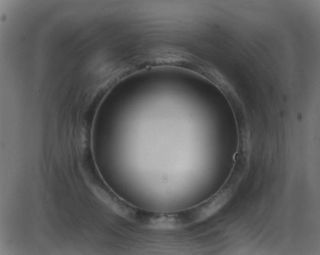 X0000086280362200704051341