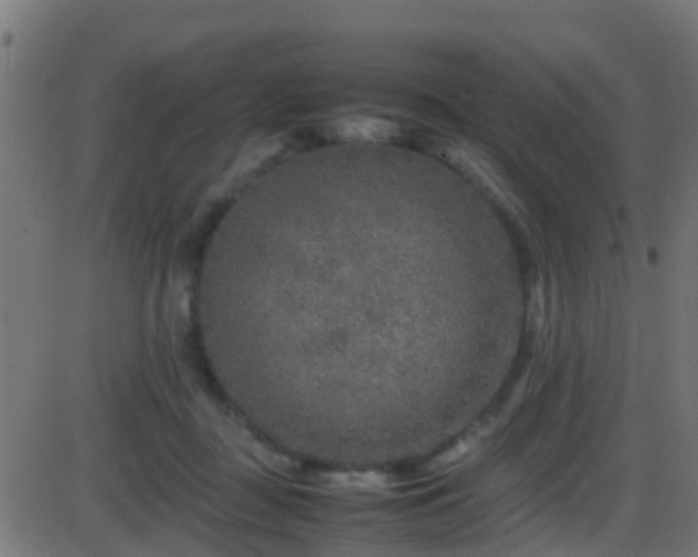 X0000086280363200704051341