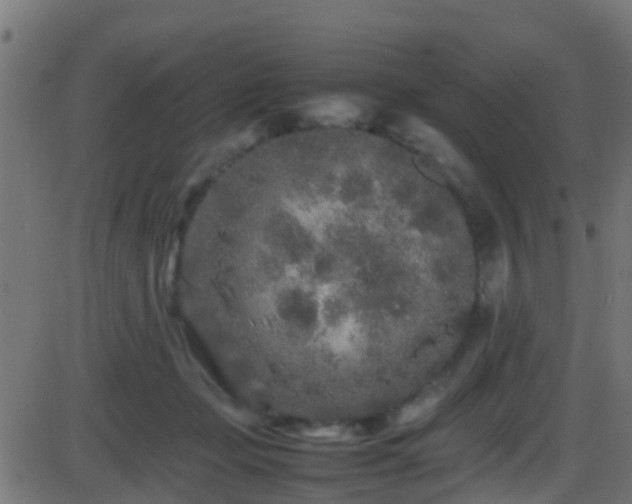 X0000086280365200704051341