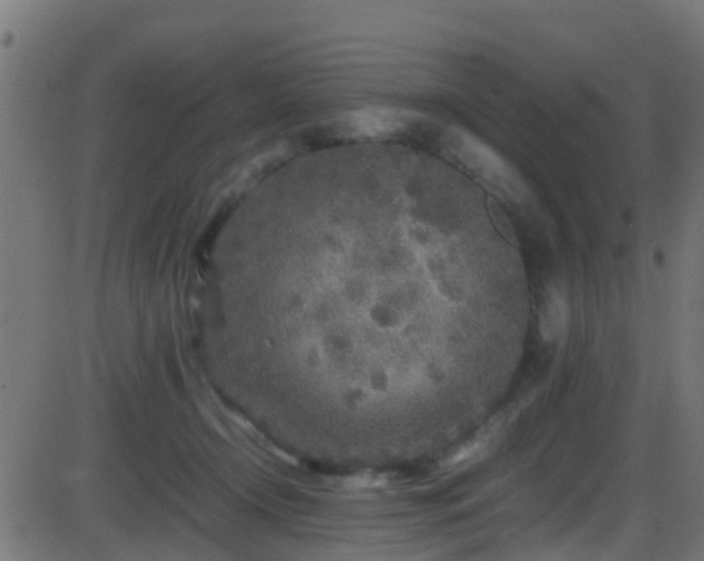 X0000086280366200704051341