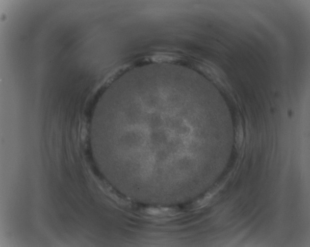 X0000086280367200704051341