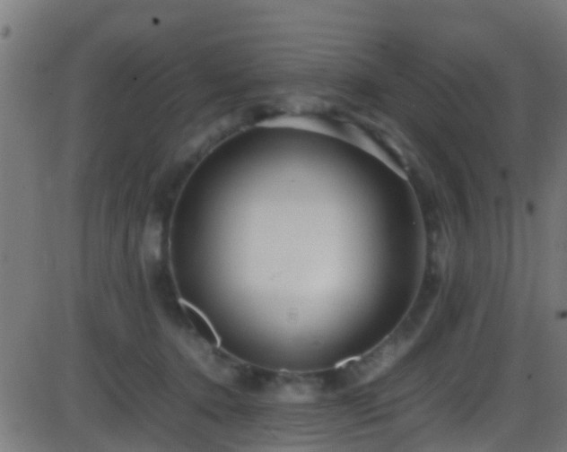 X0000086280368200704051341