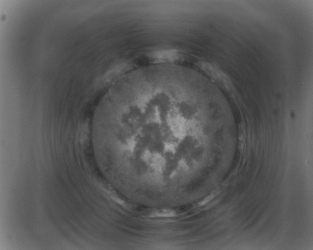 X0000086280369200704051341