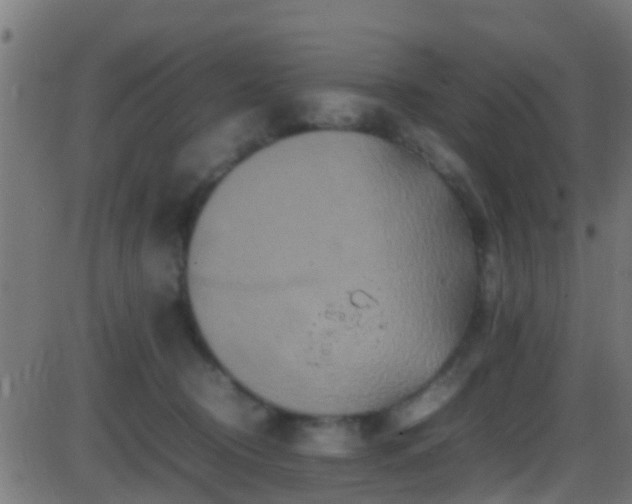 X0000086280370200704051341