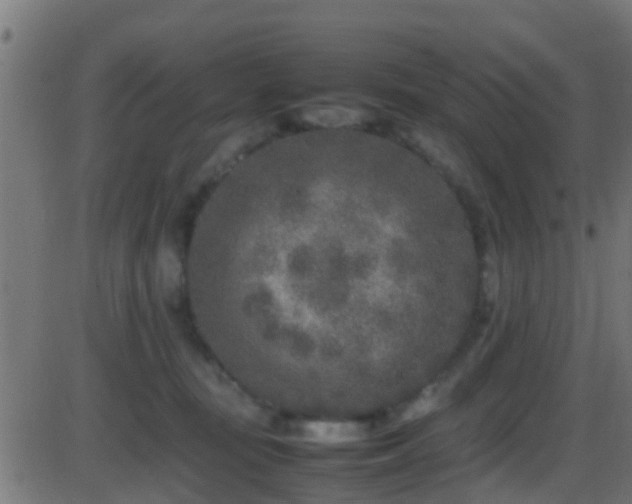 X0000086280371200704051341